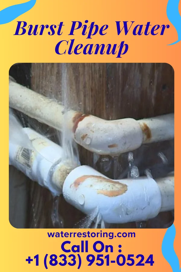 Burst Pipe Water Cleanup in Preston-Potter Hollow, NY
