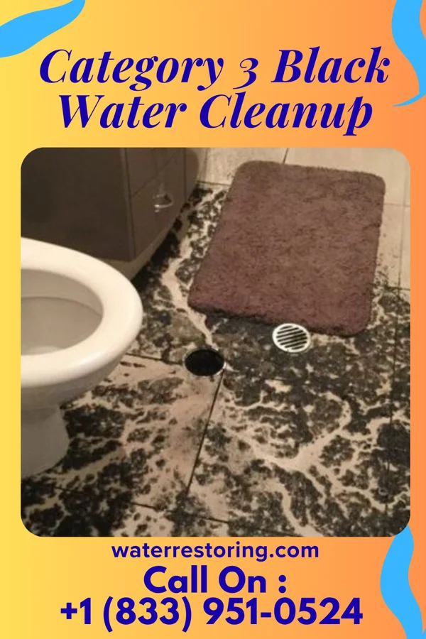 Category 3 Black Water Cleanup in Preston-Potter Hollow, NY