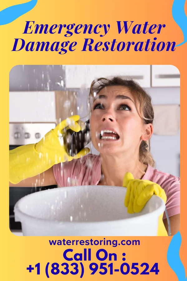 Emergency Water Damage Restoration in Preston-Potter Hollow, NY