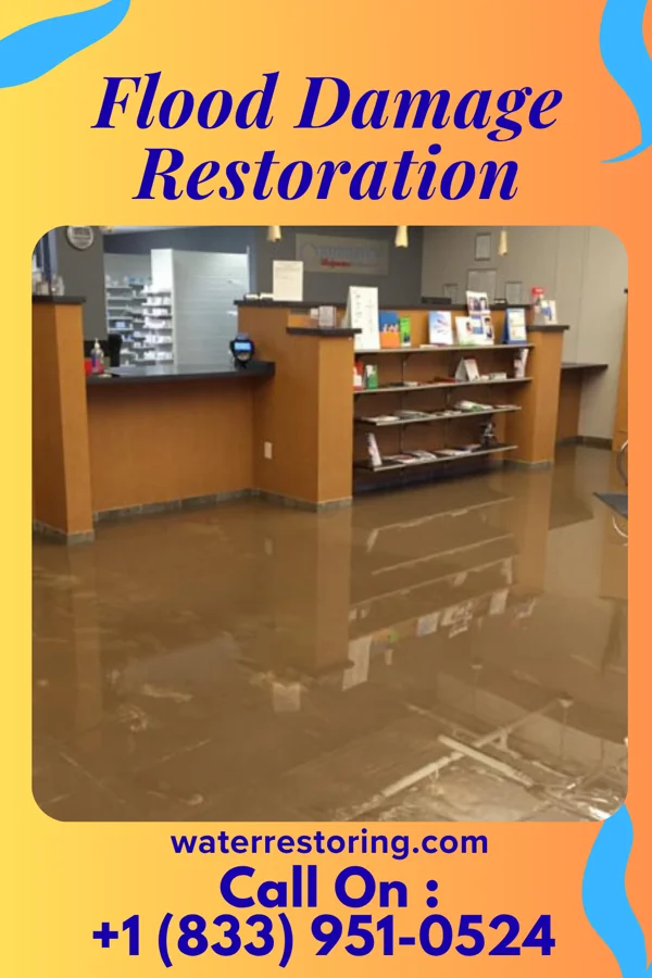 Flood Damage Restoration in Preston-Potter Hollow, NY