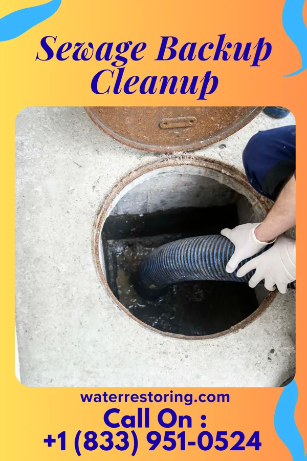 Sewage Backup Cleanup in Preston-Potter Hollow, NY