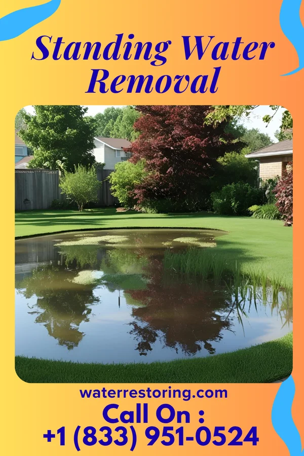 Standing Water Removal in Preston-Potter Hollow, NY